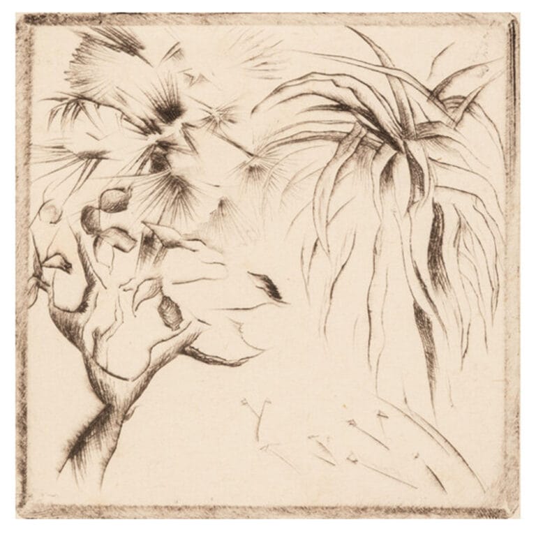 Werner Drewes (American, 1899-1985) South America (26 works), 1924